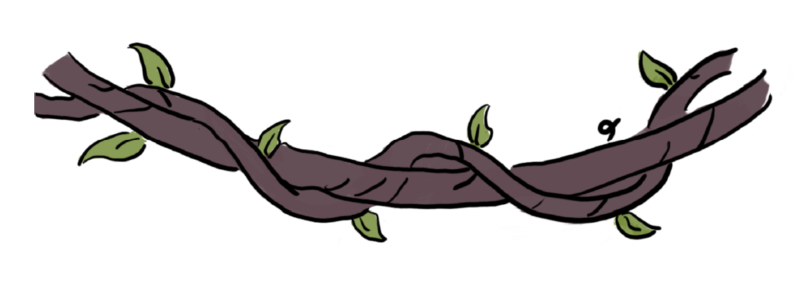 lianas icon